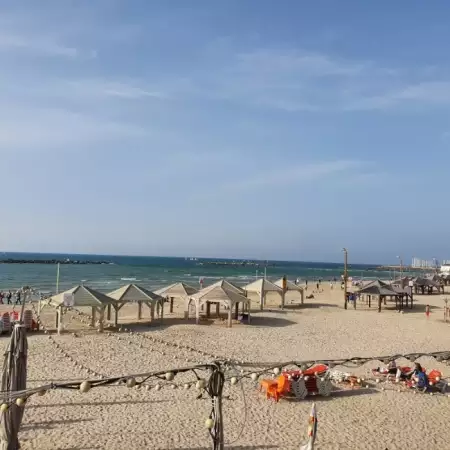 Zalme, 34ירושלים 