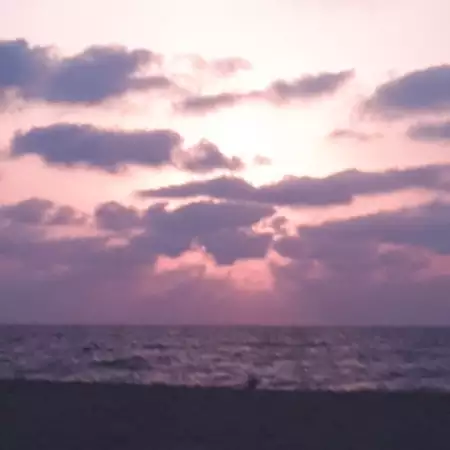 משה, 40חיפה 
