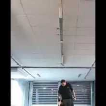 תמונה זאב 1 