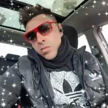 תמונה אילן 2 