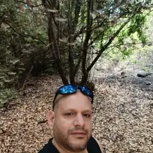 תמונה חזי 2 