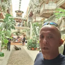 תמונה שמעיה 2 