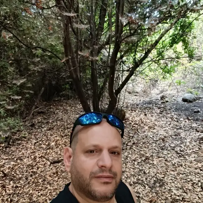 חזי